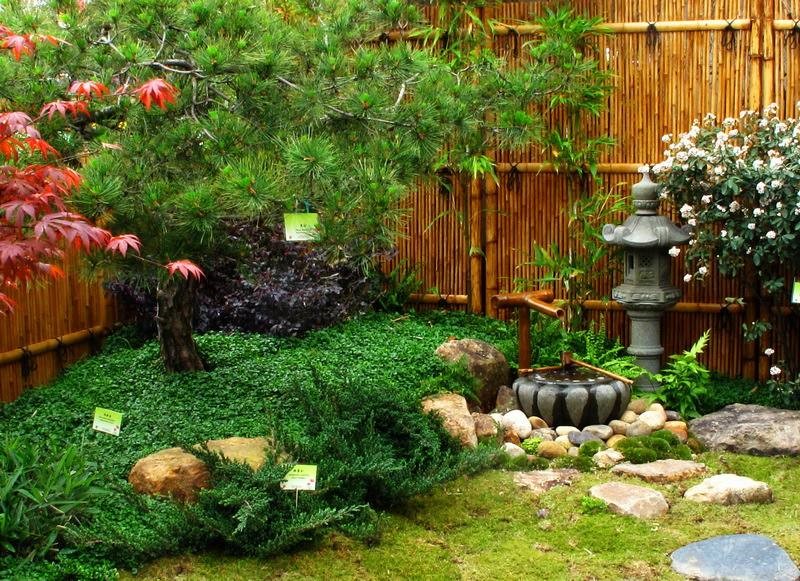 金輝中央云著項目示意圖