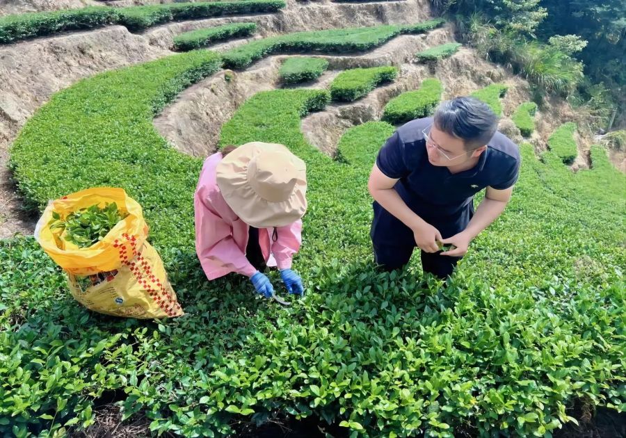 1666231034466042.jpg 111.jpg